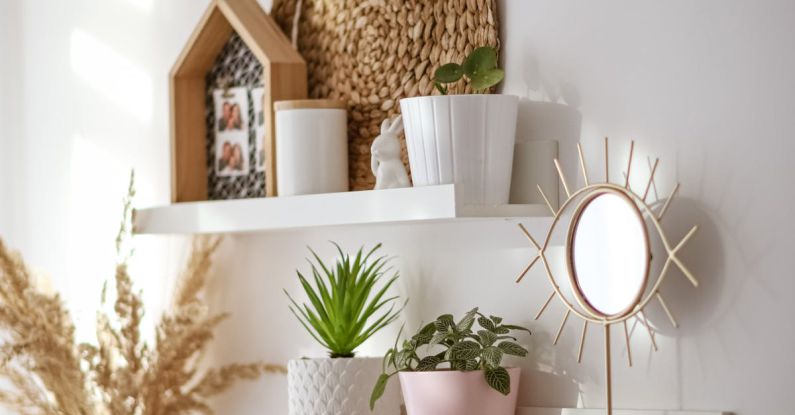 Rustic Vs Modern - Interior of modern white room with shelves with flowers and plants in pots at soft daylight