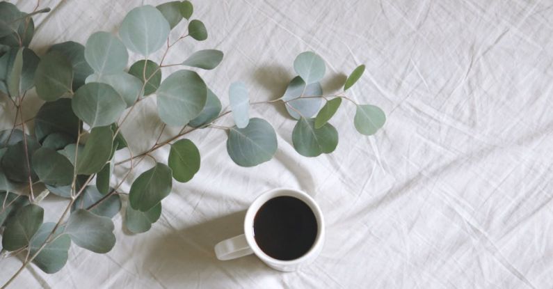 Eucalyptus - Flat Lay Photography of White Mug Beside Green Leafed Plants